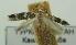  ( - BIDZ-00131)  @11 [ ] Copyright (2012) Aleksei Bidzilya University of Kiev, Ukraine