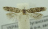  ( - BIDZ-00146)  @11 [ ] Copyright (2012) Aleksei Bidzilya University of Kiev, Ukraine