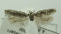  ( - BIDZ-00157)  @11 [ ] Copyright (2012) Aleksei Bidzilya University of Kiev, Ukraine