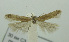  ( - BIDZ-00167)  @11 [ ] Copyright (2012) Aleksei Bidzilya University of Kiev, Ukraine