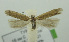  ( - BIDZ-00168)  @11 [ ] Copyright (2012) Aleksei Bidzilya University of Kiev, Ukraine