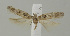  ( - MFN-00088)  @11 [ ] Copyright (2012) Aleksei Bidzilya University of Kiev, Ukraine