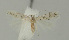  (Scrobipalpa brandbergensis - MFN-00104)  @11 [ ] Copyright (2012) Aleksei Bidzilya University of Kiev, Ukraine