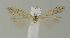  ( - MFN-00114)  @11 [ ] Copyright (2012) Aleksei Bidzilya University of Kiev, Ukraine