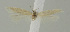  ( - MFN-00115)  @11 [ ] Copyright (2012) Aleksei Bidzilya University of Kiev, Ukraine