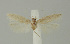  ( - MFN-00124)  @11 [ ] Copyright (2012) Aleksei Bidzilya University of Kiev, Ukraine