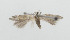  ( - ZMKU-00017)  @11 [ ] Copyright (2012) Aleksei Bidzilya University of Kiev, Ukraine