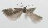  ( - ZMKU-00060)  @11 [ ] Copyright (2012) Aleksei Bidzilya University of Kiev, Ukraine
