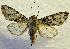  ( - MPG0527-06)  @14 [ ] CreativeCommons - Attribution Non-Commercial Share-Alike (2017) Mat Seidensticker MPG Ranch