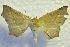  ( - MPG0527-10)  @11 [ ] CreativeCommons - Attribution Non-Commercial Share-Alike (2017) Mat Seidensticker MPG Ranch