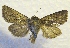 ( - MPG0527-43)  @12 [ ] CreativeCommons - Attribution Non-Commercial Share-Alike (2017) Mat Seidensticker MPG Ranch