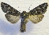  ( - MPG0527-46)  @13 [ ] CreativeCommons - Attribution Non-Commercial Share-Alike (2017) Mat Seidensticker MPG Ranch