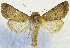  ( - MPG0528-09)  @11 [ ] CreativeCommons - Attribution Non-Commercial Share-Alike (2017) Mat Seidensticker MPG Ranch