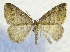  ( - MPG0528-14)  @13 [ ] CreativeCommons - Attribution Non-Commercial Share-Alike (2017) Mat Seidensticker MPG Ranch