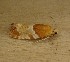  ( - CATL072320-05)  @11 [ ] Creative Commons - Non-Commercial Share-Alike (2020) Unspecified MPG Ranch