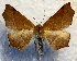  ( - DMZ0619-37)  @11 [ ] CreativeCommons - Attribution Non-Commercial Share-Alike (2017) Mat Seidensticker MPG Ranch