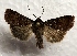  ( - DMZ0724-18)  @13 [ ] CreativeCommons - Attribution Non-Commercial Share-Alike (2017) Mat Seidensticker MPG Ranch