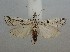  ( - ES082819-07)  @11 [ ] Creative Commons - Non-Commercial Share-Alike (2019) Unspecified MPG Ranch