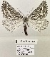  ( - Crabo-H)  @11 [ ] Copyright (2022) Lars Crabo Unspecified