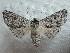  ( - KBK071519-27)  @11 [ ] Creative Commons - Non-Commercial Share-Alike (2019) Unspecified MPG Ranch