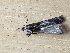  ( - MPG0515-06)  @11 [ ] CreativeCommons - Attribution Non-Commercial Share-Alike (2018) Unspecified MPG Ranch