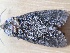  ( - MPG0605-18)  @12 [ ] CreativeCommons - Attribution Non-Commercial Share-Alike (2018) Unspecified MPG Ranch