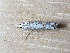  ( - MPG0612-07)  @12 [ ] CreativeCommons - Attribution Non-Commercial Share-Alike (2018) Unspecified MPG Ranch
