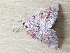  ( - MPG0613-15)  @11 [ ] CreativeCommons - Attribution Non-Commercial Share-Alike (2018) Unspecified MPG Ranch