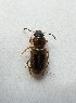  ( - MPG0709-74)  @11 [ ] CreativeCommons - Attribution Non-Commercial Share-Alike (2018) Unspecified MPG Ranch