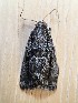  ( - MPG0716-25)  @12 [ ] CreativeCommons - Attribution Non-Commercial Share-Alike (2018) Unspecified MPG Ranch