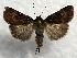  ( - MPG0719-05)  @13 [ ] CreativeCommons - Attribution Non-Commercial Share-Alike (2017) Mat Seidensticker MPG Ranch
