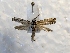  ( - MPG0719-115)  @12 [ ] CreativeCommons - Attribution Non-Commercial Share-Alike (2017) Mat Seidensticker MPG Ranch