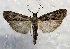  ( - MPG0719-13)  @13 [ ] CreativeCommons - Attribution Non-Commercial Share-Alike (2017) Mat Seidensticker MPG Ranch