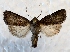  ( - MPG0719-86)  @14 [ ] CreativeCommons - Attribution Non-Commercial Share-Alike (2017) Mat Seidensticker MPG Ranch