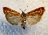  ( - MPG0726-10)  @14 [ ] CreativeCommons - Attribution Non-Commercial Share-Alike (2017) Mat Seidensticker MPG Ranch