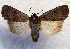  ( - MPG0726-68)  @14 [ ] CreativeCommons - Attribution Non-Commercial Share-Alike (2017) Mat Seidensticker MPG Ranch