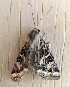  ( - MPG0810-31)  @12 [ ] CreativeCommons - Attribution Non-Commercial Share-Alike (2018) Unspecified MPG Ranch