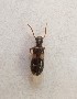  ( - MPGM0719-10)  @11 [ ] CreativeCommons - Attribution Non-Commercial Share-Alike (2018) Unspecified MPG Ranch