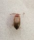  ( - MPGM0719-19)  @11 [ ] CreativeCommons - Attribution Non-Commercial Share-Alike (2018) Unspecified MPG Ranch