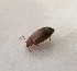  ( - MPGM0719-19)  @11 [ ] CreativeCommons - Attribution Non-Commercial Share-Alike (2018) Unspecified MPG Ranch