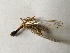  ( - MPGM0807-40)  @11 [ ] CreativeCommons - Attribution Non-Commercial Share-Alike (2018) Unspecified MPG Ranch