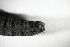  ( - UTC-LRV1-01)  @11 [ ] Creative Commons - Non-Commercial Share-Alike (2022) NRRES NRRES