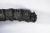  ( - UTC-LRV1-02)  @11 [ ] Creative Commons - Non-Commercial Share-Alike (2022) NRRES NRRES