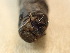  ( - UTC-LRV1-02)  @11 [ ] Creative Commons - Non-Commercial Share-Alike (2022) NRRES NRRES