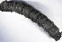  ( - UTC-LRV1-02.1)  @11 [ ] Attribution Non-Commerical Share-Alike (by-nc-sa) (2022) Mat Seidensticker Northern Rockies Research & Educational Services