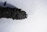  ( - UTC-LRV1-03)  @11 [ ] Creative Commons - Non-Commercial Share-Alike (2022) NRRES NRRES