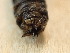  ( - UTC-LRV1-03)  @11 [ ] Creative Commons - Non-Commercial Share-Alike (2022) NRRES NRRES