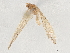  ( - BIOUG48940-G03)  @11 [ ] CreativeCommons - Attribution (2021) CBG Photography Group Centre for Biodiversity Genomics