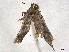  ( - BIOUG48939-G05)  @11 [ ] CreativeCommons - Attribution Share-Alike (2024) CBG Photography Group Centre for Biodiversity Genomics