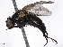  ( - BIOUG51024-D11)  @11 [ ] CreativeCommons - Attribution (2020) CBG Photography Group Centre for Biodiversity Genomics